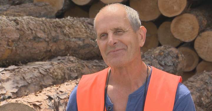 Industri penebangan kayu Manitoba terancam di tengah amukan kebakaran hutan – Winnipeg